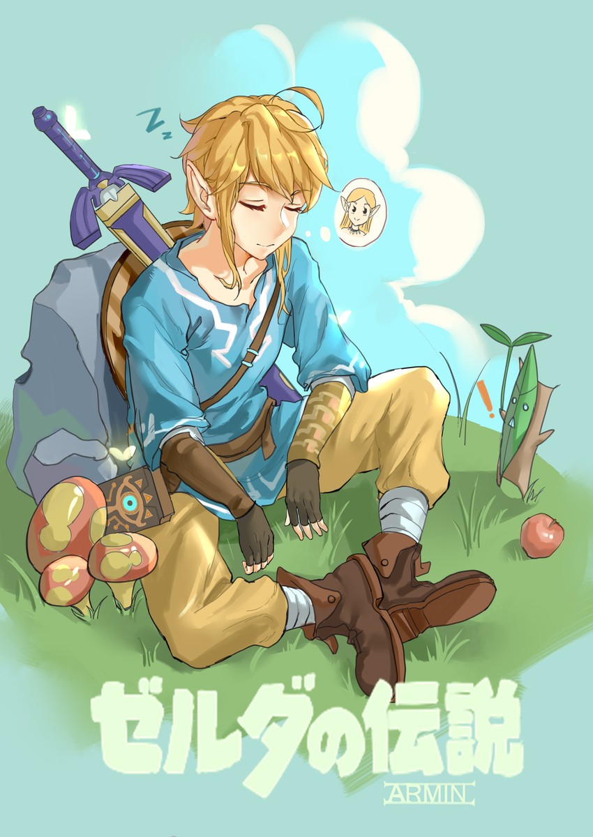 link and princess zelda (the legend of zelda and 1 more) drawn by mao_wei_du_jiao_shou
