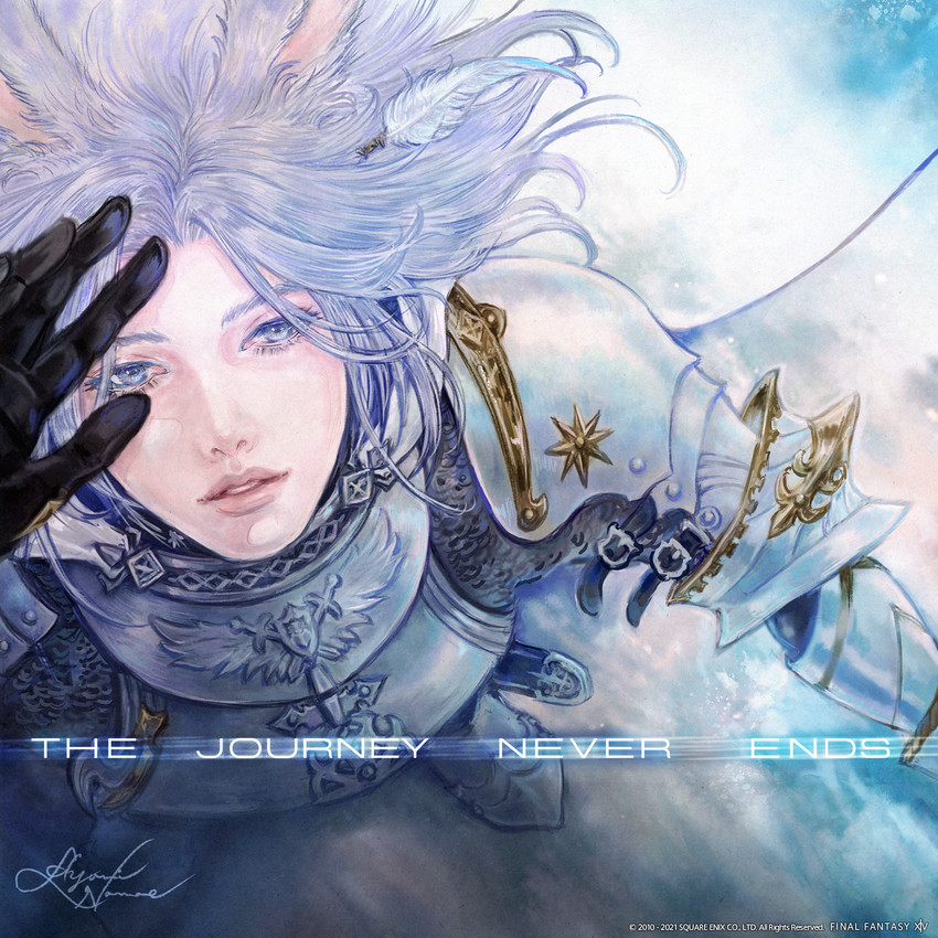 warrior of light and paladin (final fantasy and 1 more) drawn by namae_ayumi