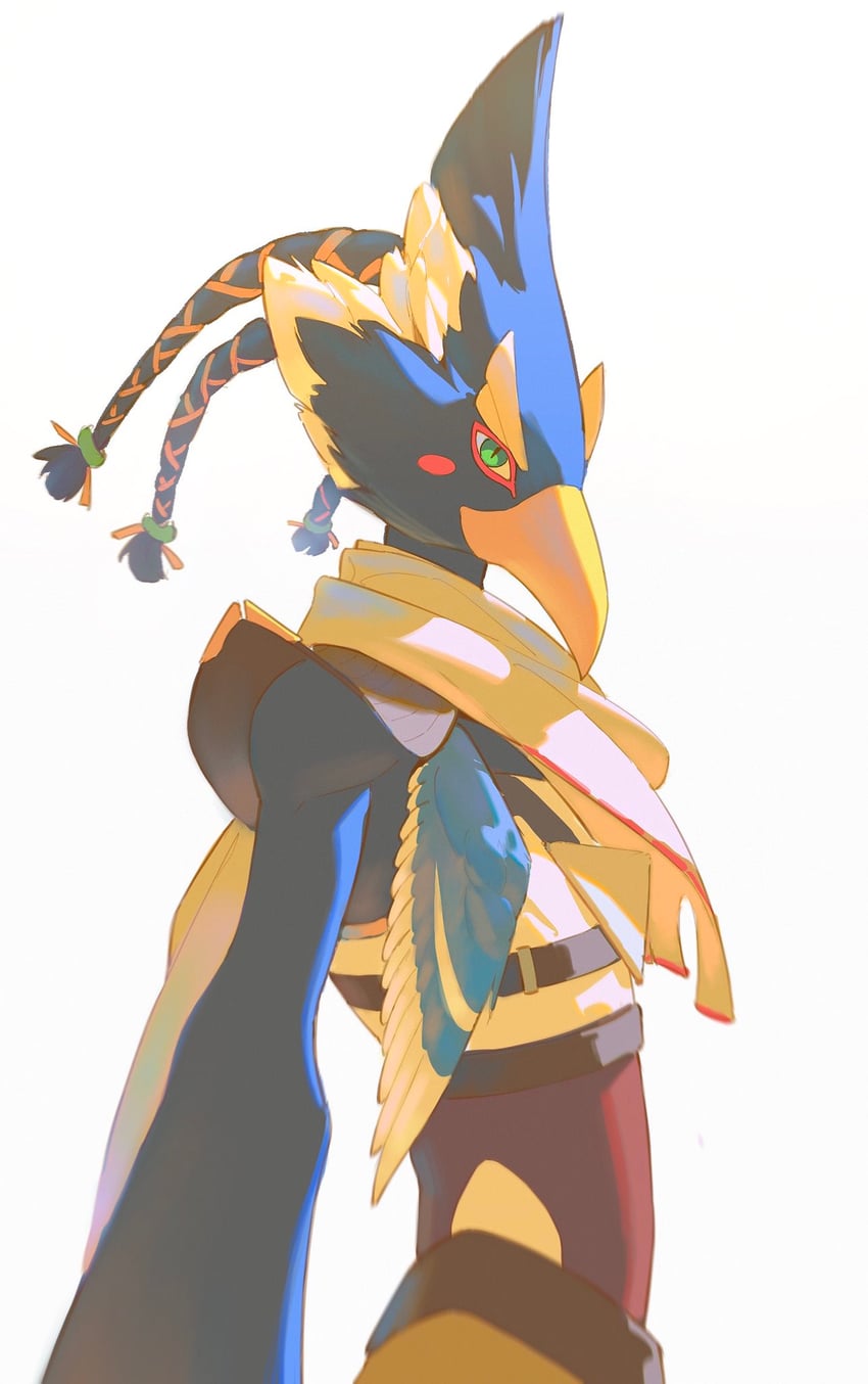 revali (the legend of zelda and 1 more) drawn by libuqilai
