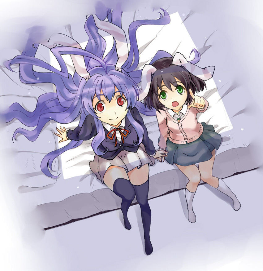 reisen udongein inaba and inaba tewi (touhou) drawn by blue_door