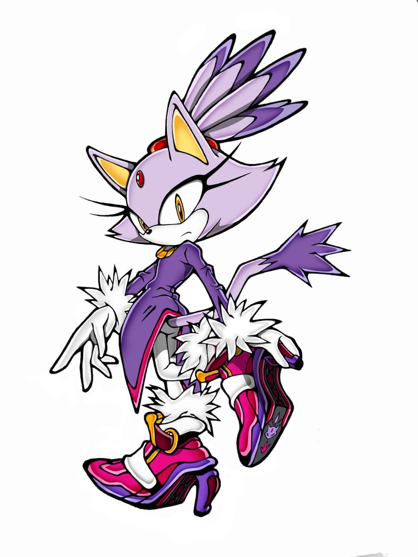 blaze the cat (sonic) drawn by neo_(blazykun)