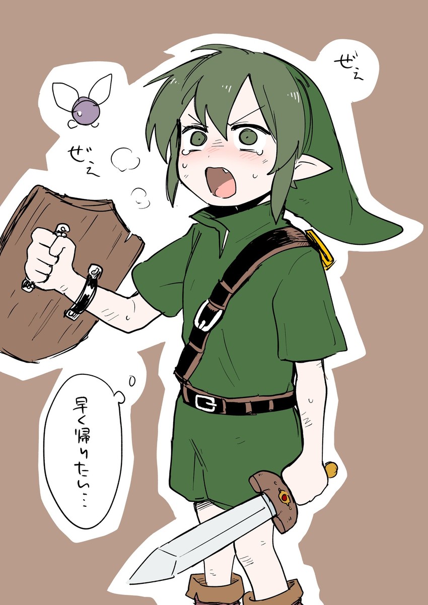 link and igarashi futaba (the legend of zelda and 2 more) drawn by shiromanta