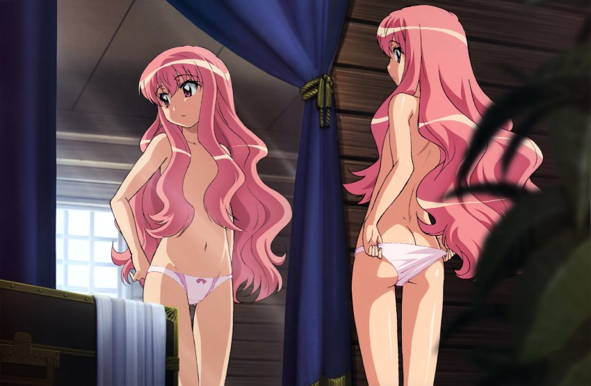 louise francoise le blanc de la valliere (zero no tsukaima)
