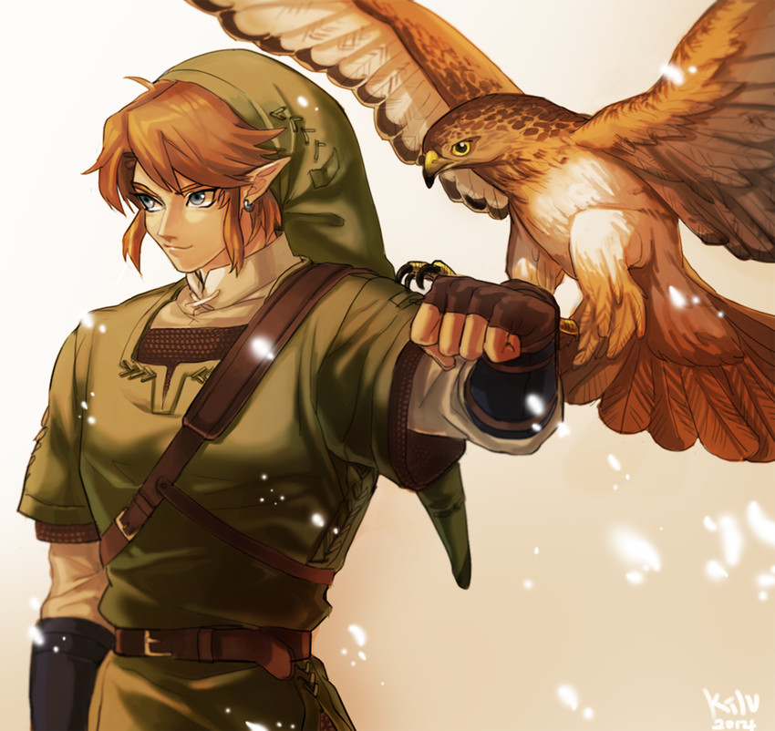 link (the legend of zelda and 1 more) drawn by kiru_(sorr5042)