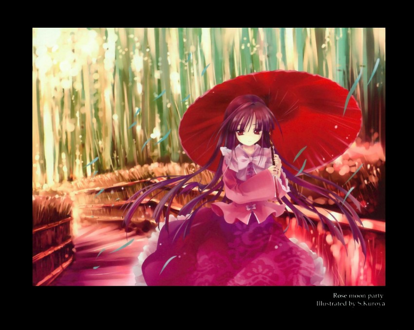houraisan kaguya (touhou) drawn by cradle_(circle) and kuroya_shinobu