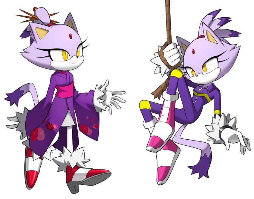 blaze the cat (sonic and 3 more) drawn by flowerpigeon