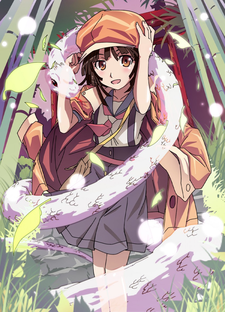 sengoku nadeko and mishaguji (monogatari and 1 more) drawn by hikipanda