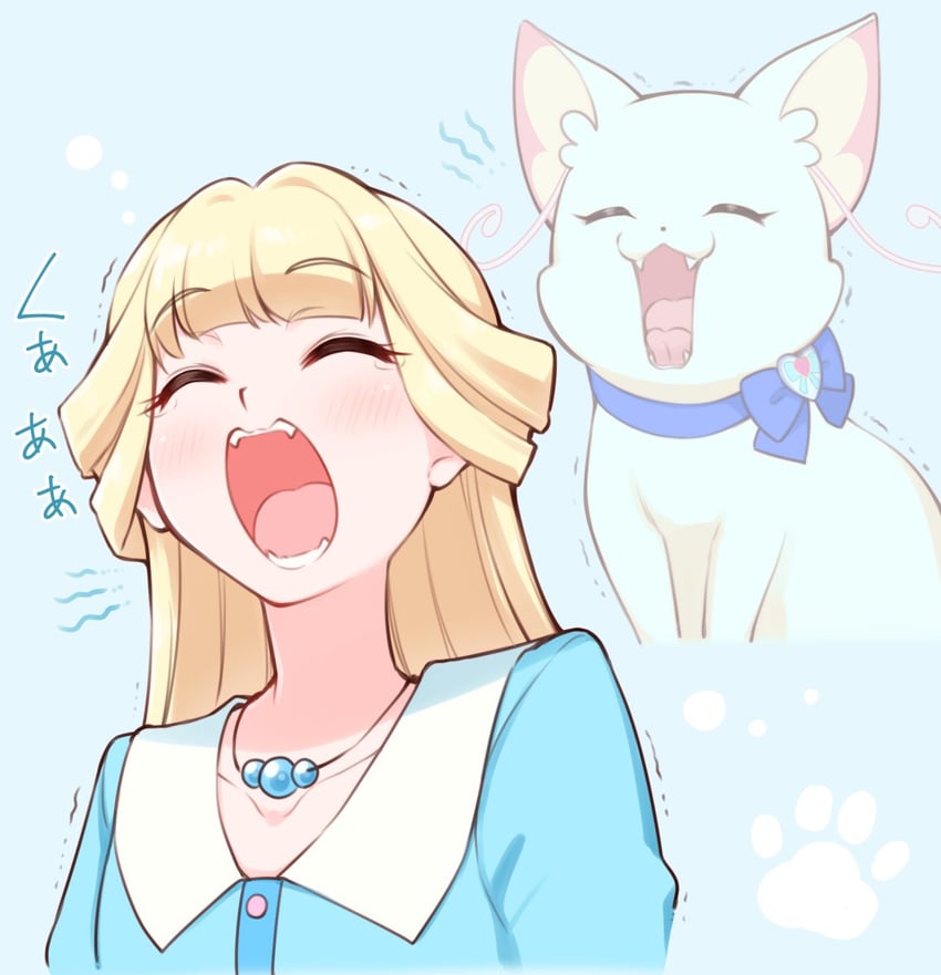 nekoyashiki yuki (precure and 1 more) drawn by arakawa_tarou