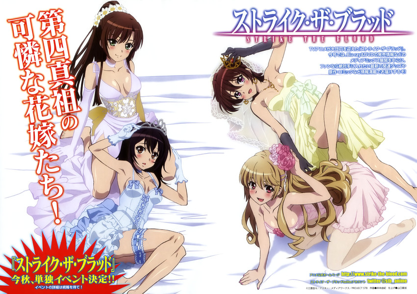 himeragi yukina, kirasaka sayaka, aiba asagi, and tokoyogi yuuma (strike the blood) drawn by imoto_yuki