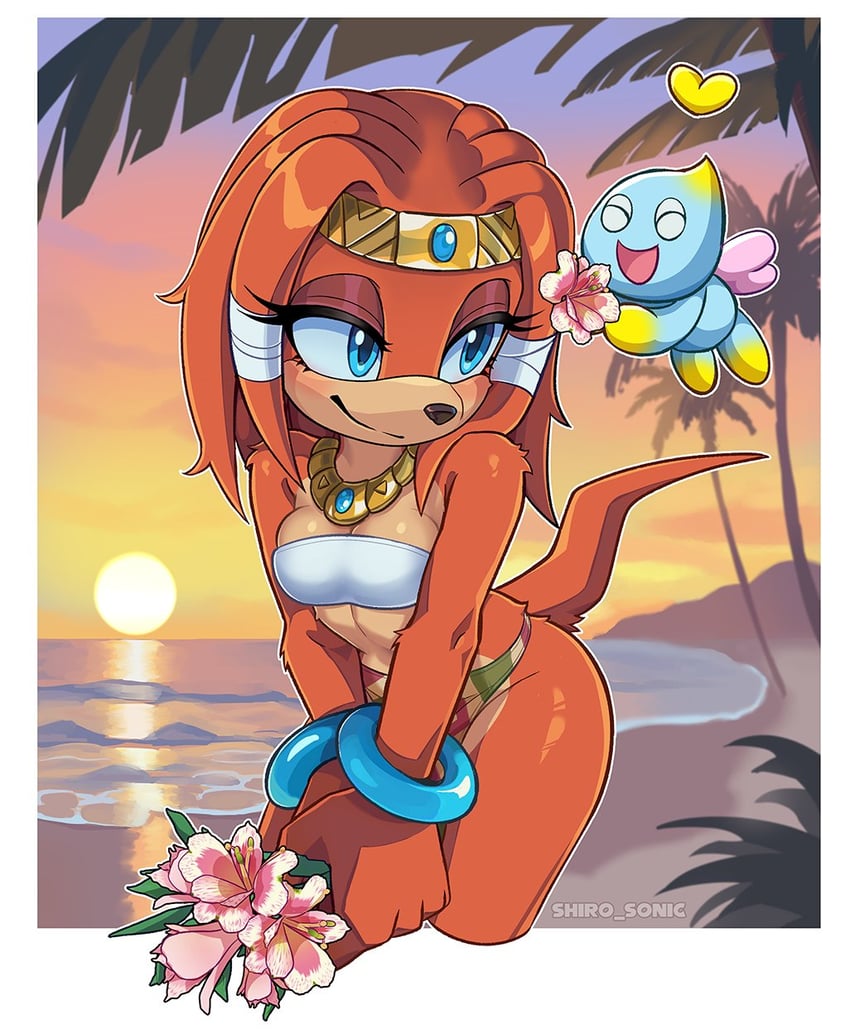 neutral chao and tikal the echidna (sonic and 1 more) drawn by shirogahara