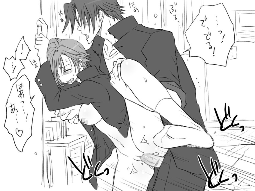 igarashi kyou and hasumi souji (seitenkango. shinyuu to) drawn by eroe
