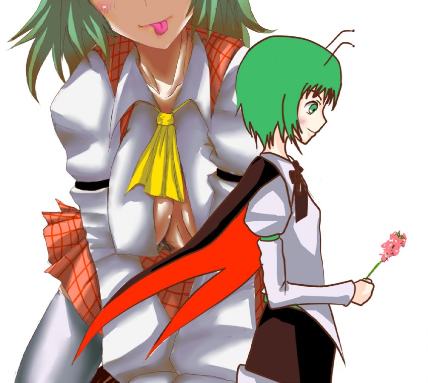 kazami yuuka and wriggle nightbug (touhou) drawn by dateya_torahachi