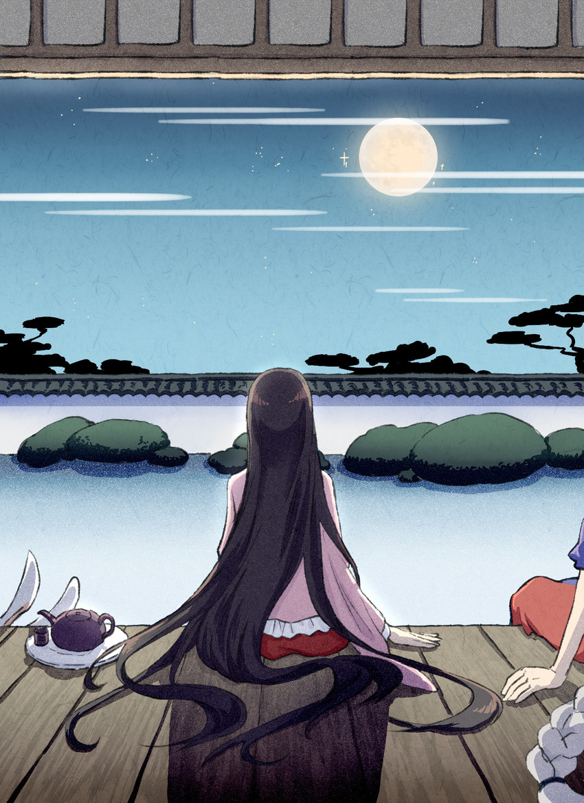 reisen udongein inaba, houraisan kaguya, and yagokoro eirin (touhou) drawn by wei_li
