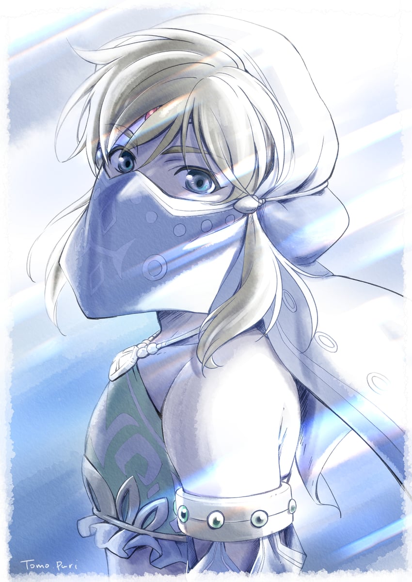 link (the legend of zelda and 1 more) drawn by tomo.puri