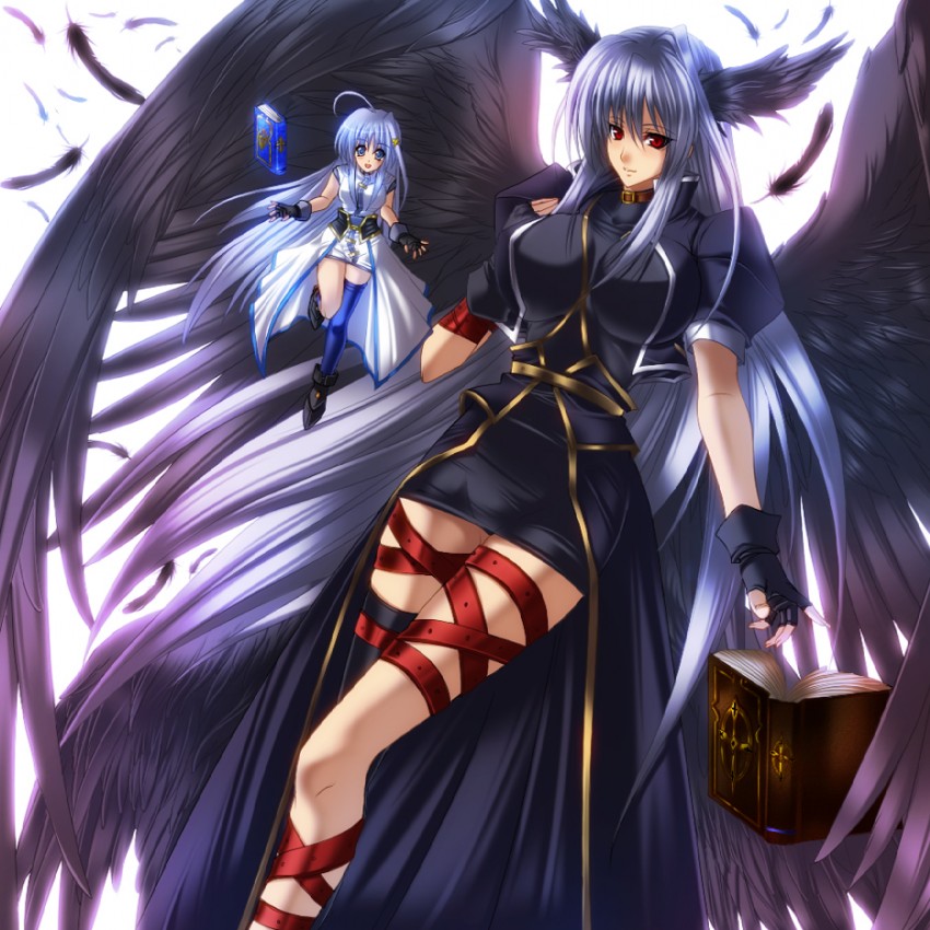 reinforce zwei, reinforce, tome of the night sky, and book of the azure sky (lyrical nanoha and 3 more) drawn by juri_(shiningred)