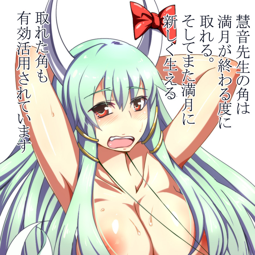 kamishirasawa keine and ex-keine (touhou) drawn by yagami_(mukage)