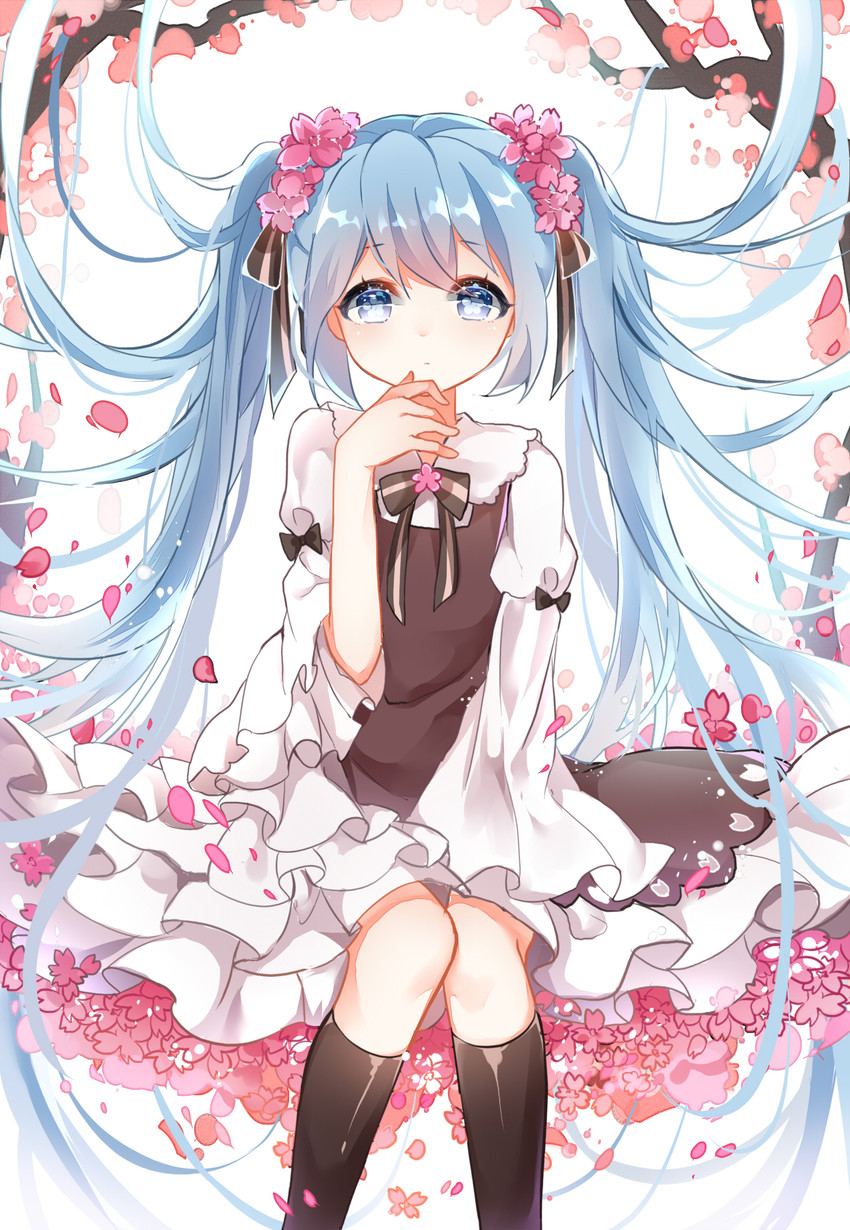 hatsune miku, sakura miku, and chuko miku (vocaloid) drawn by chuor_(chuochuoi)