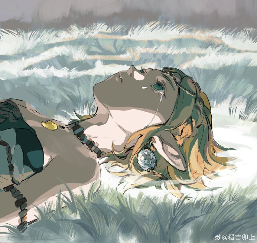 princess zelda (the legend of zelda and 1 more) drawn by mimulishizi