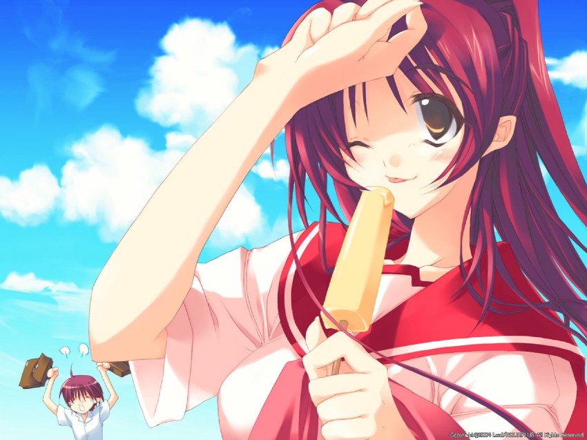 kousaka tamaki and kousaka yuuji (to heart and 1 more)