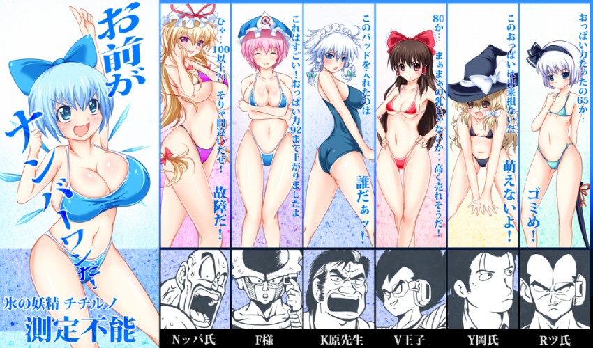 hakurei reimu, kirisame marisa, izayoi sakuya, konpaku youmu, cirno, and 9 more (touhou and 3 more) drawn by marinon
