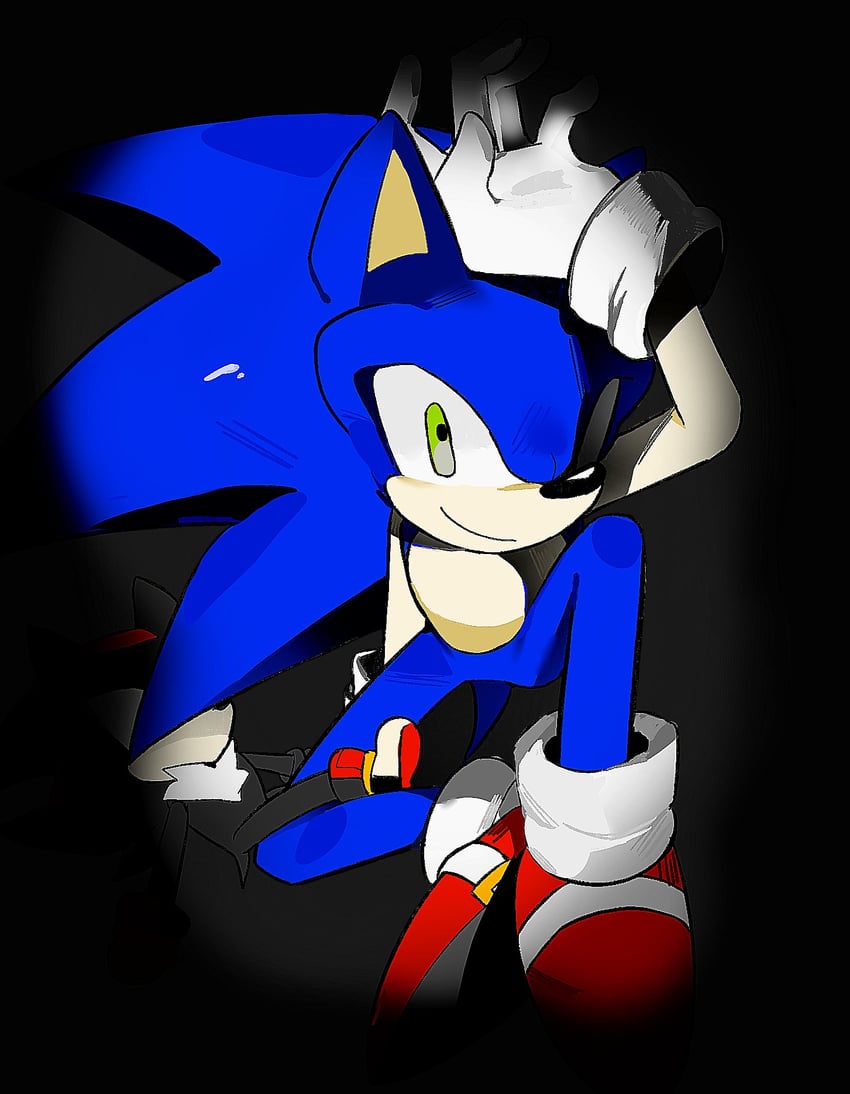 sonic the hedgehog and shadow the hedgehog (sonic) drawn by acidki6