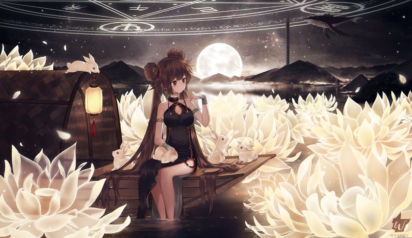 female fighter and female nen master (dungeon and fighter) drawn by windporo
