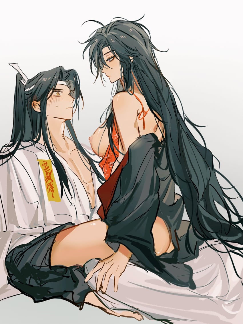 wei wuxian and lan wangji (modao zushi) drawn by heyoubuyou
