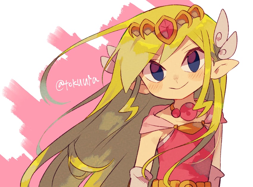 princess zelda and toon zelda (the legend of zelda and 1 more) drawn by tokuura