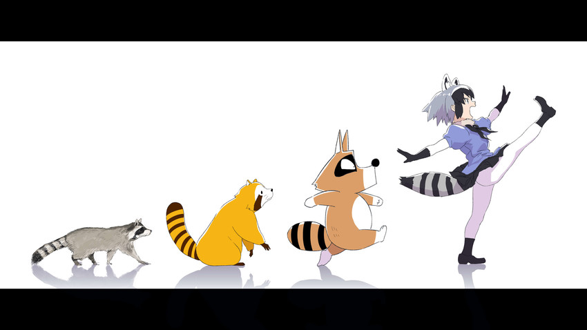 common raccoon, rascal, and araiguma (kemono friends and 2 more) drawn by kitou_sakeru