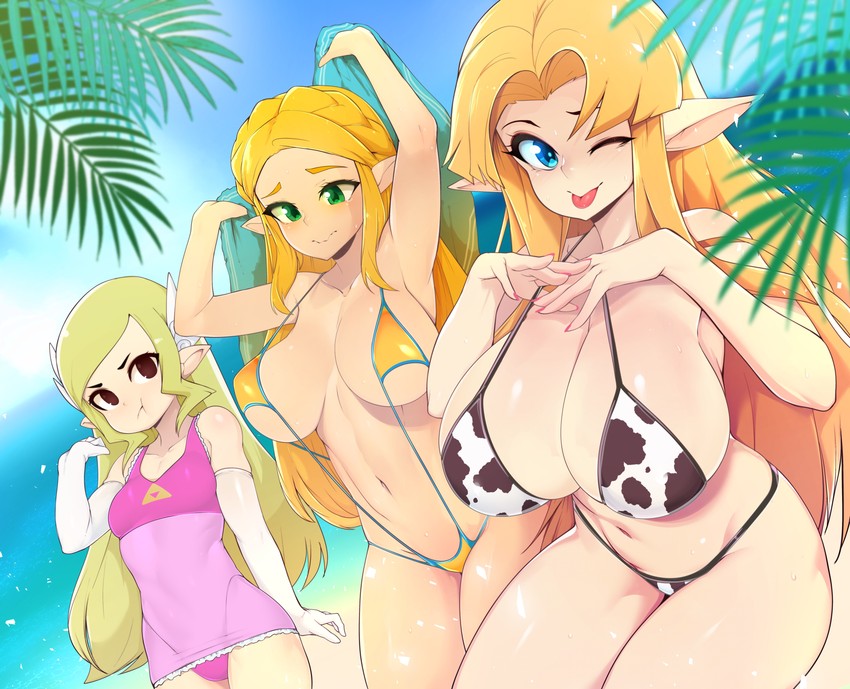 princess zelda and toon zelda (the legend of zelda and 3 more) drawn by slugbox