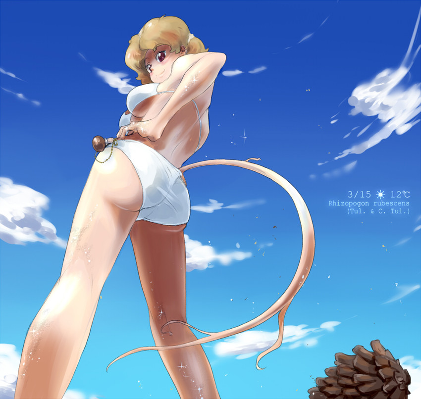 rhizopogon roseolus (oso-teki kinoko gijinka zukan) drawn by oso_(toolate)