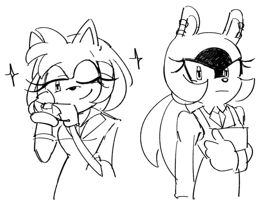 amy rose, surge the tenrec, good witch of the north, and elphaba thropp (sonic and 2 more) drawn by fishsoof