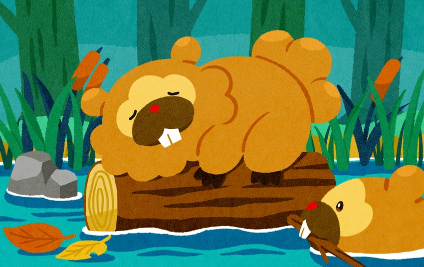 bidoof (pokemon and 1 more) drawn by tomato_market