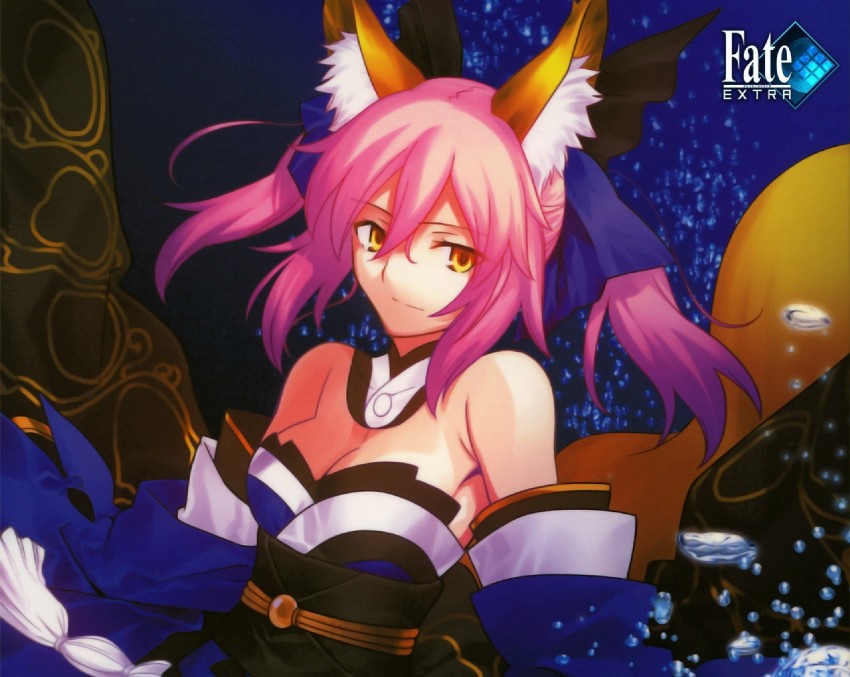 tamamo and tamamo no mae (fate and 1 more) drawn by takeuchi_takashi