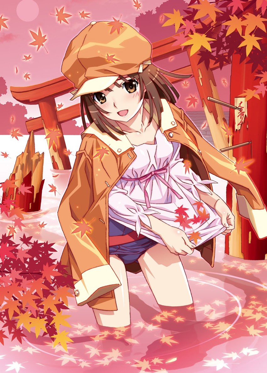 sengoku nadeko (monogatari and 1 more) drawn by watanabe_akio