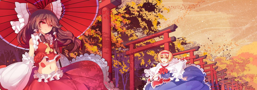 hakurei reimu and alice margatroid (touhou) drawn by rain_lan