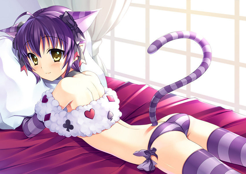cheshire cat and noir auslese (alice's adventures in wonderland and 1 more) drawn by bucchake_(asami)