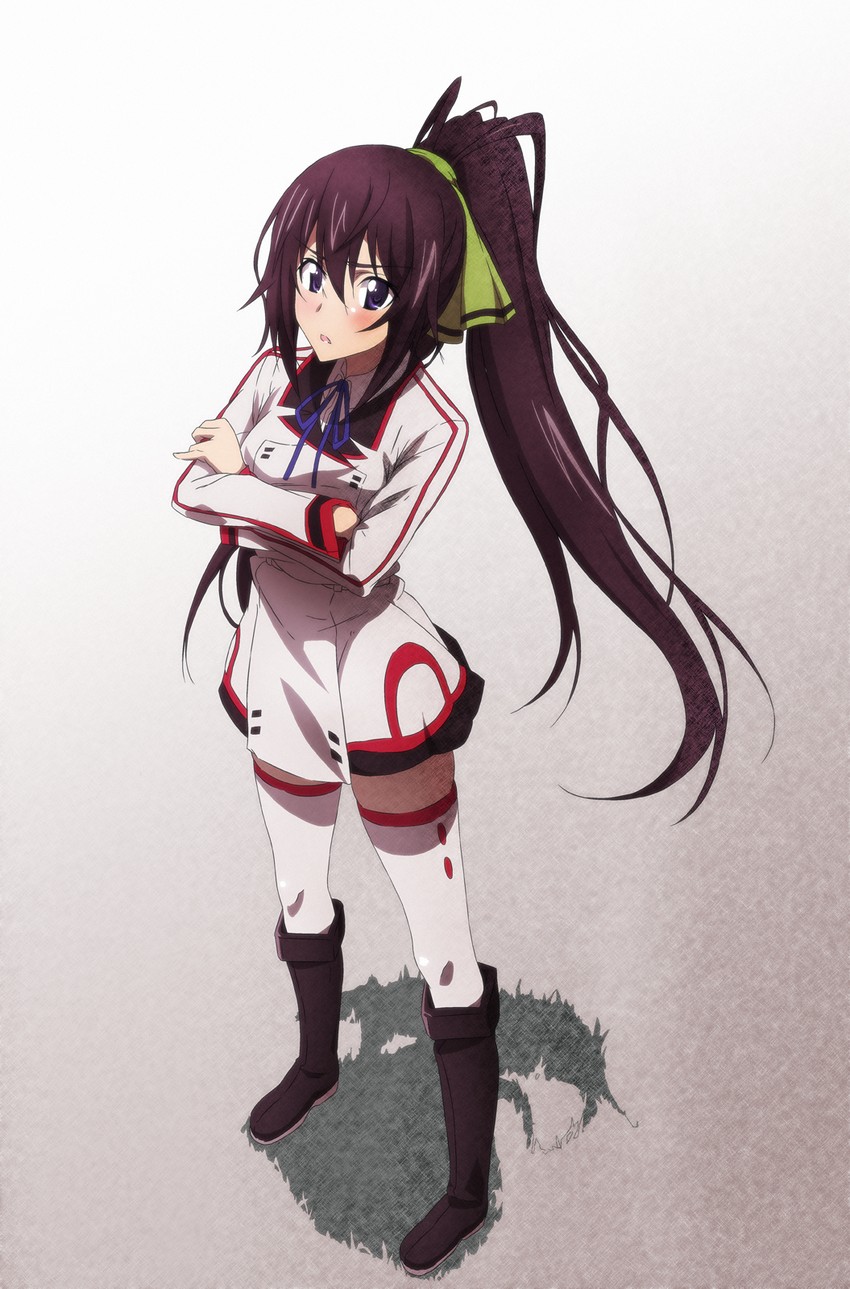 shinonono houki (infinite stratos) drawn by tappa_(esperanza) and yataneko_(echigo)