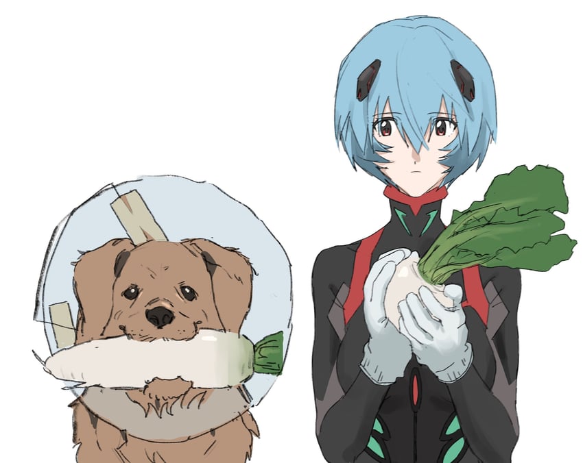 ayanami rei (neon genesis evangelion and 2 more) drawn by meccha_kubiitee
