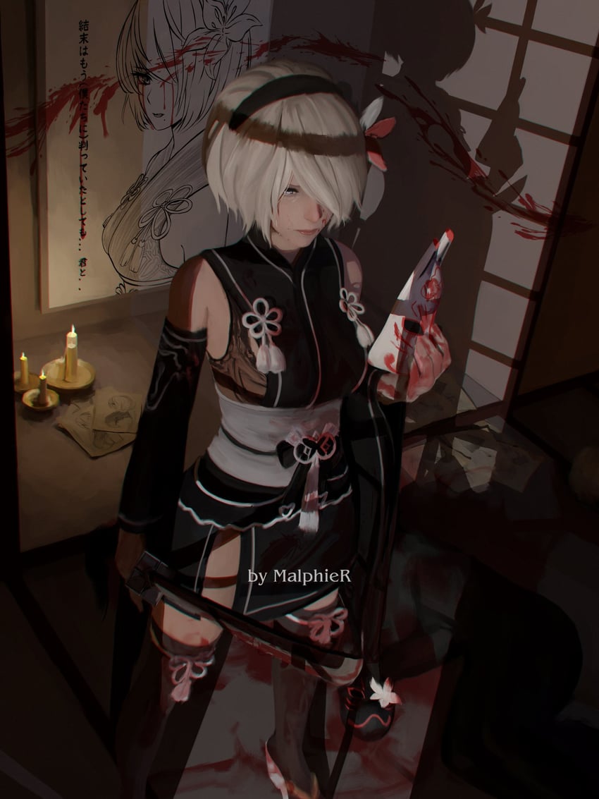 2b and 9s (nier and 1 more) drawn by malphier