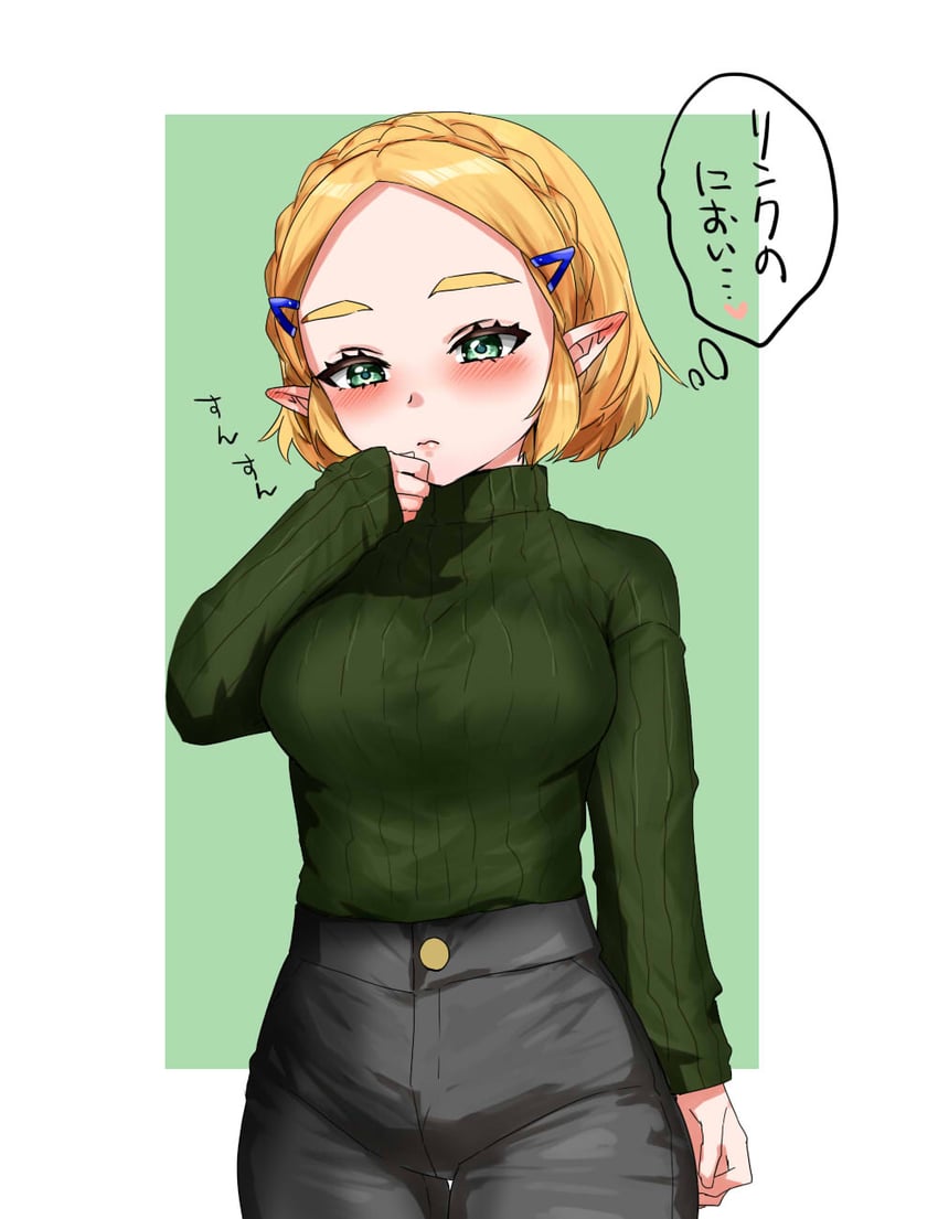 princess zelda (the legend of zelda and 1 more) drawn by wasabi_(legemd)