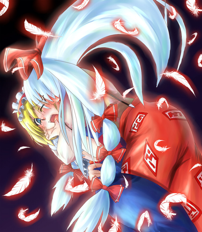 alice margatroid and fujiwara no mokou (touhou) drawn by tora_(trampjing)