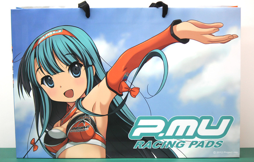 yamaguchi miu (inging motorsport and 1 more)