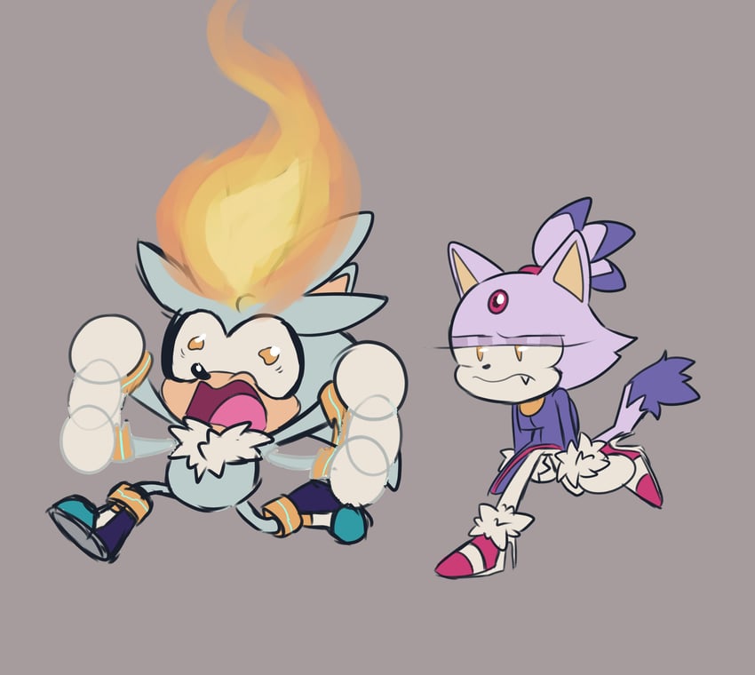 blaze the cat and silver the hedgehog (sonic) drawn by karl0