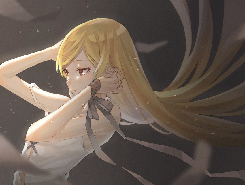 oshino shinobu (monogatari and 1 more) drawn by kokku-san