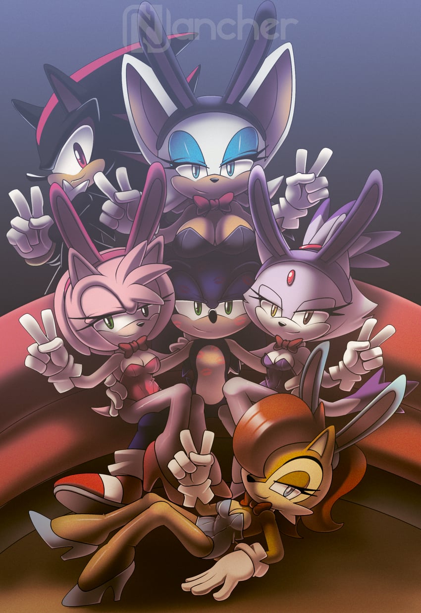 sonic the hedgehog, shadow the hedgehog, amy rose, blaze the cat, rouge the bat, and 1 more (sonic) drawn by nancher
