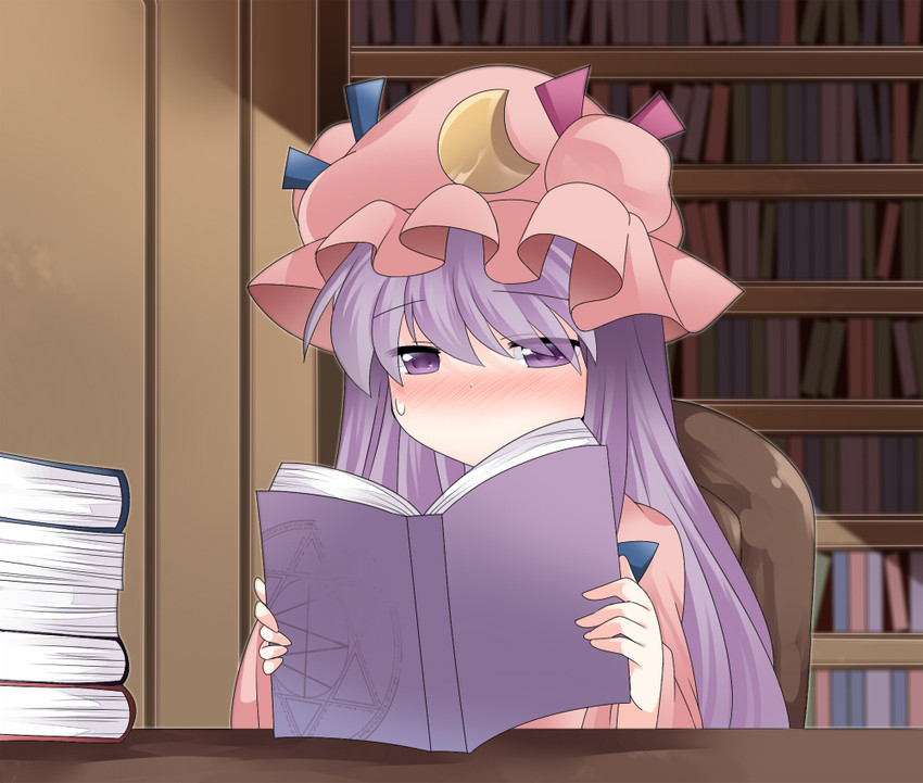 patchouli knowledge (touhou) drawn by hammer_(sunset_beach)
