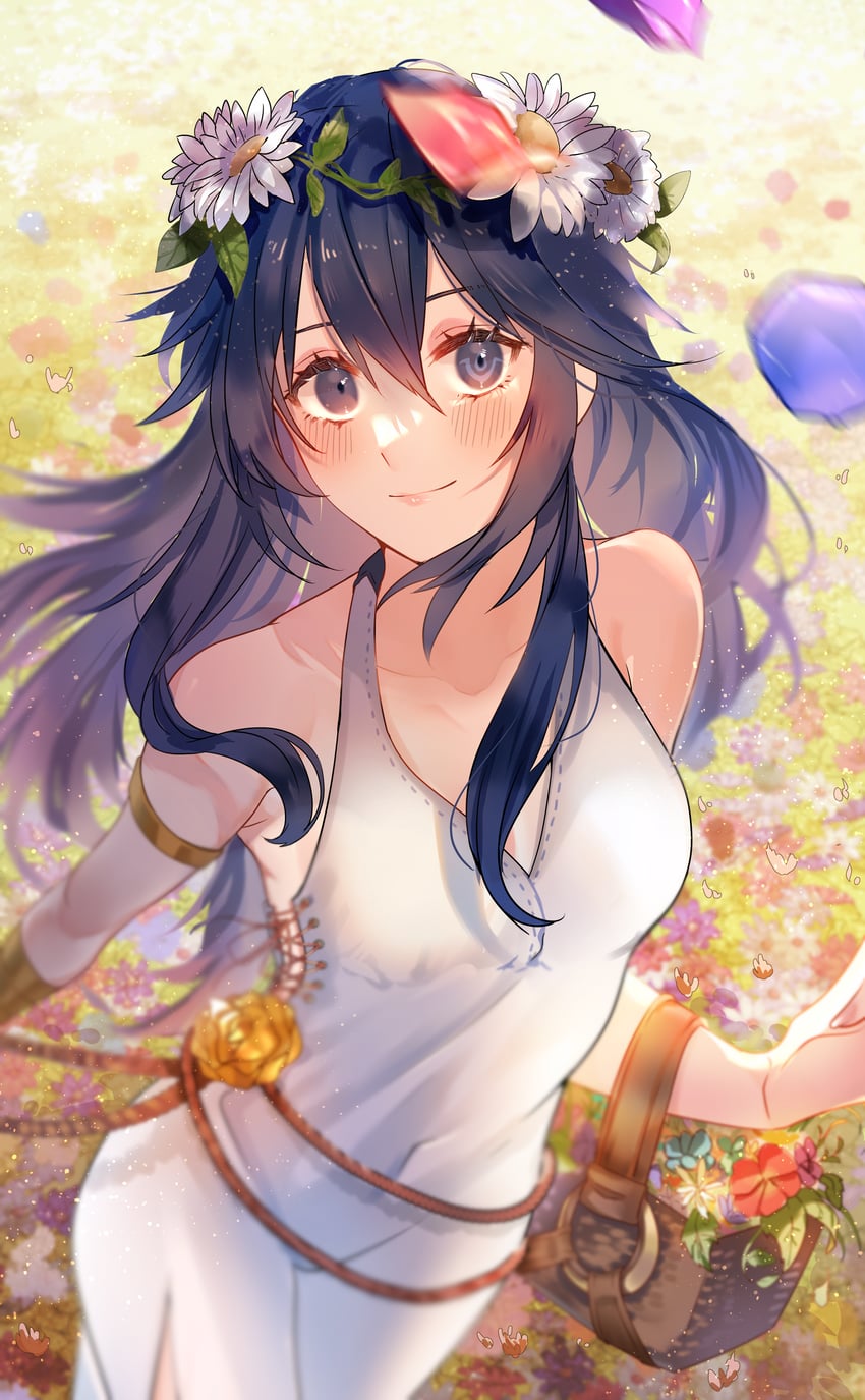 lucina (fire emblem and 2 more) drawn by mikage02