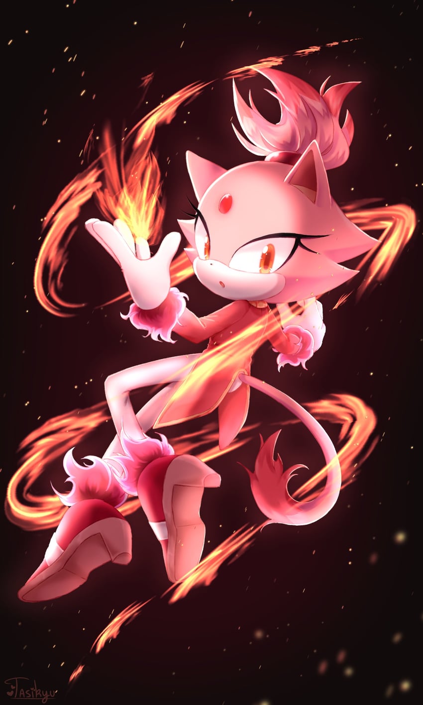 blaze the cat and burning blaze (sonic and 2 more) drawn by tasikyu
