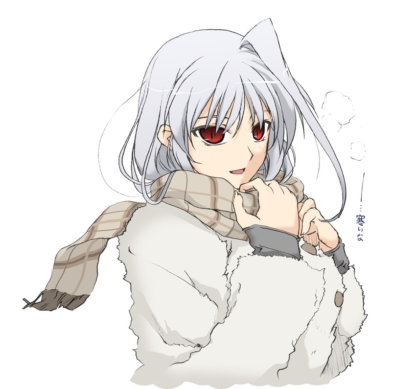 reinforce (lyrical nanoha and 2 more) drawn by elf_(stroll_in_the_woods)